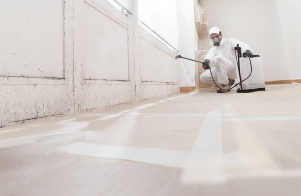 24/7 Emergency Mold Remediation experts in Pottstown, PA