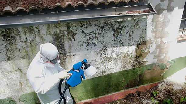 Top rated local Mold Remediation specialists in Pottstown, PA